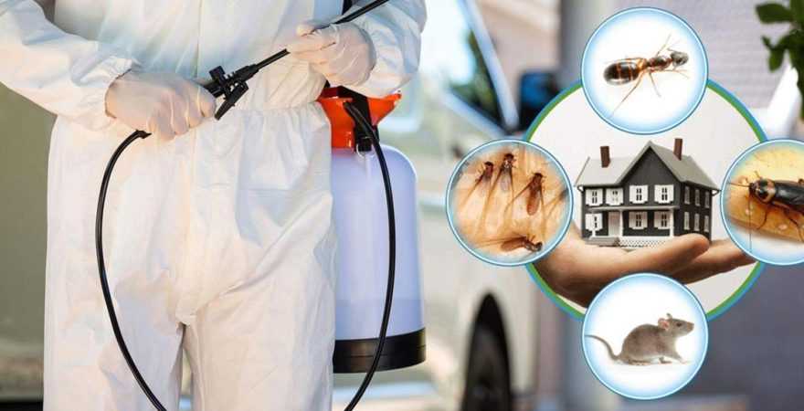 İhsaniye Böcek İlaçlama