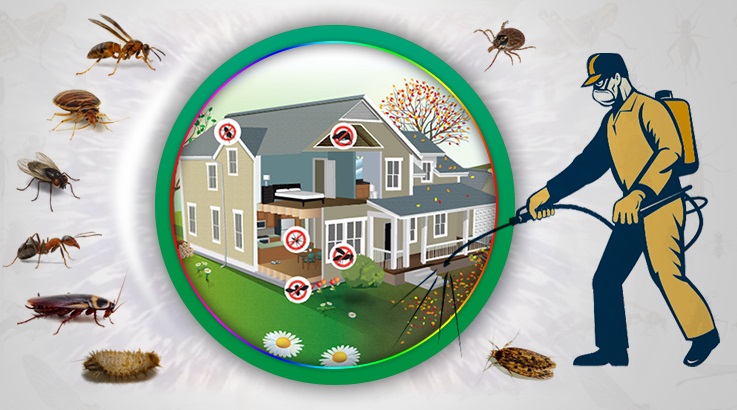 İhsaniye Böcek İlaçlama