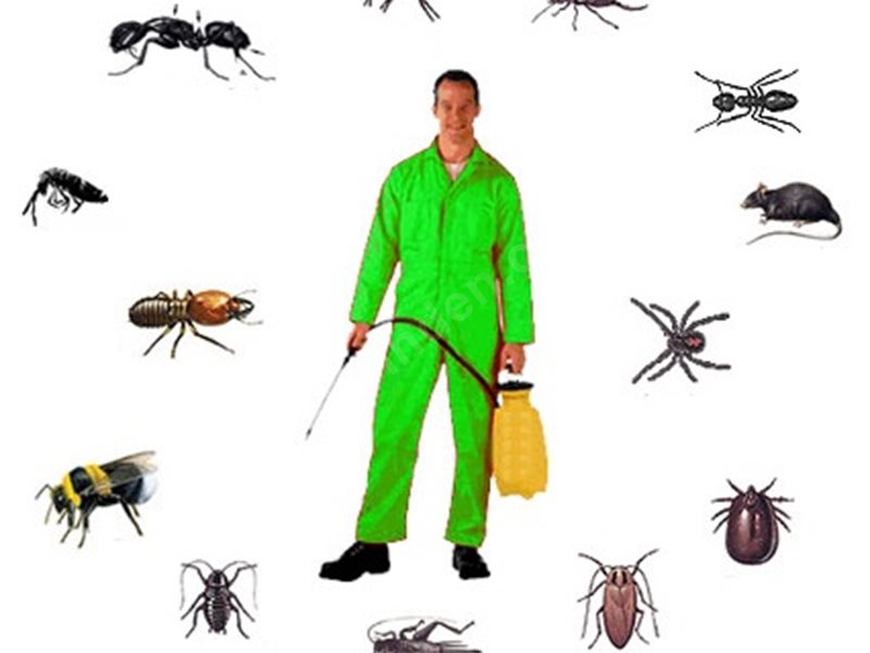 İhsaniye Böcek İlaçlama